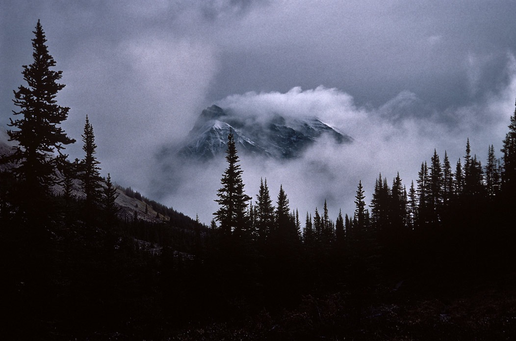 198710008 ©Tim Medley - Jonas Pass Trail, Jasper National Park, Canada