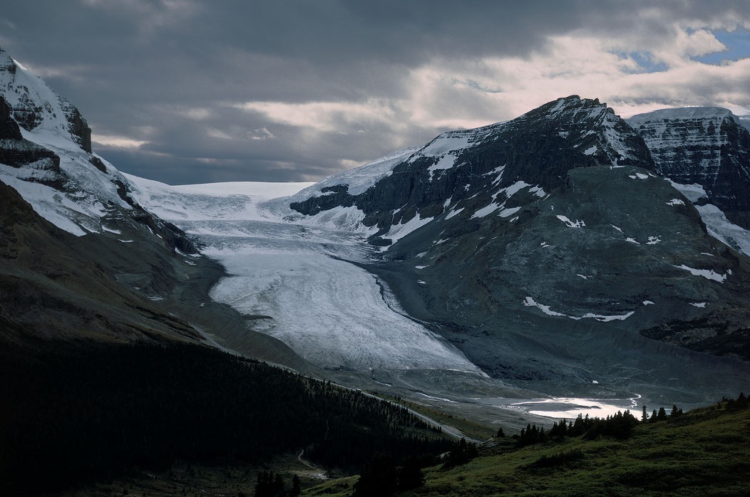 199100215 ©Tim Medley - Athabaska Glacier, Wilcox Pass Trail, Jasper National Park, AB