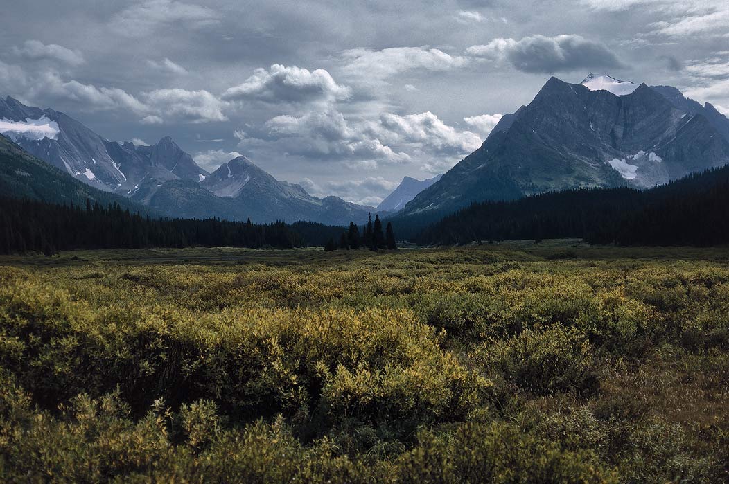 199100720 ©Tim Medley - Spray River, Mt. Leman, Banff National Park, AB