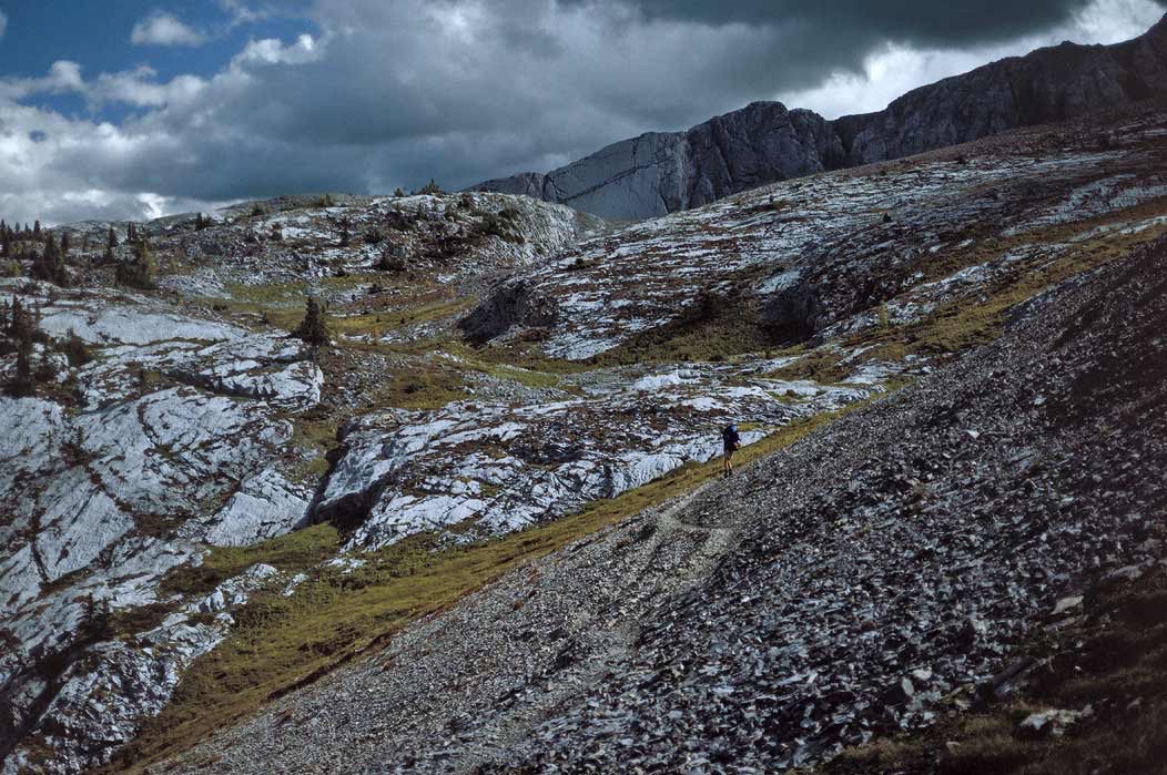 199100912 ©Tim Medley - Burstall Pass, Burstall Pass Trail, Banff National Park, AB