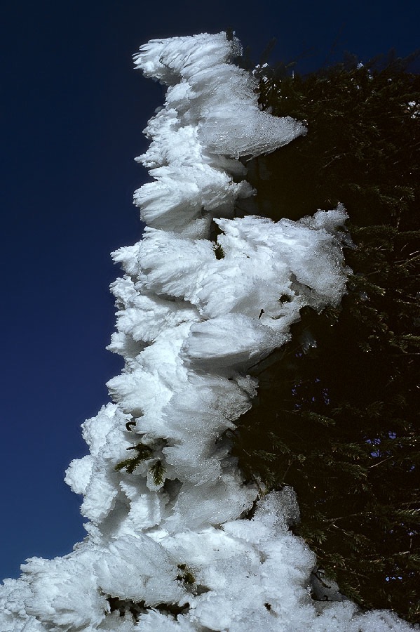 198302W203 ©Tim Medley - Spruce Knob, Spruce Knob - Seneca Rocks Recreation Area, Monongahela National Forest, WV