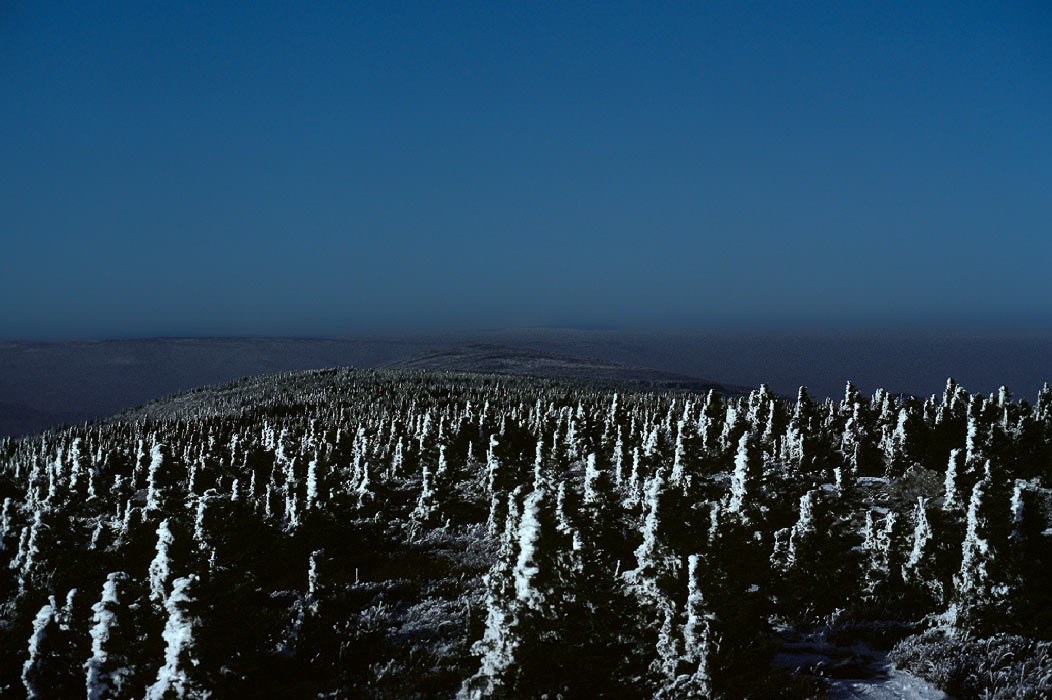198302W213 ©Tim Medley - Spruce Knob, Spruce Knob - Seneca Rocks Recreation Area, Monongahela National Forest, WV