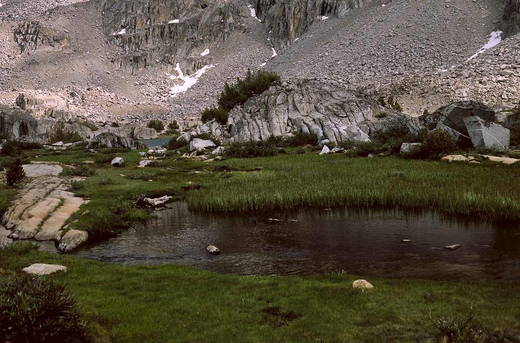 1991CA01670 ©Tim Medley - Dusy Basin, Bishop Pass TR, Kings Canyon NP, CA