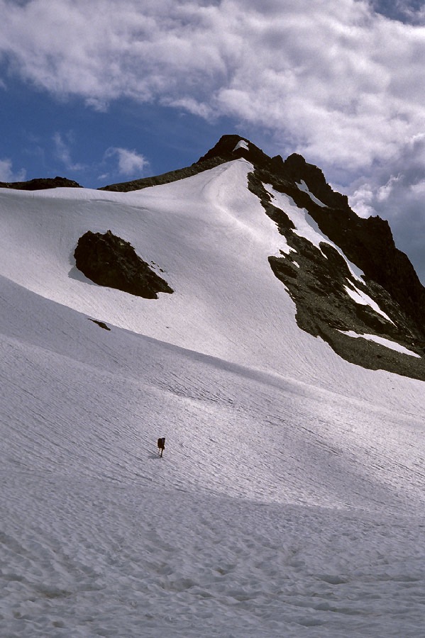 198706208 ©Tim Medley - Dodger Point to Snagtooth Col, Olympic National Park, WA