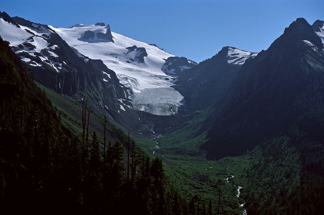 198706334 ©Tim Medley - White Glacier, Olympic National Park, WA