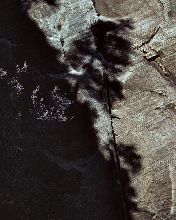 198700505 ©Tim Medley - Echo Canyon Trail, Zion National Park, UT