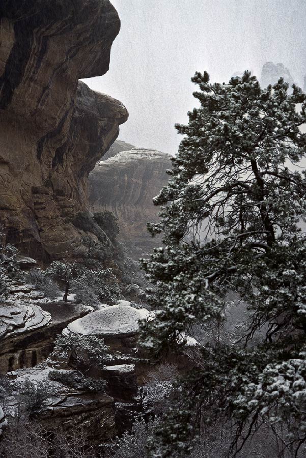 198702304 ©Tim Medley - The Needles, Canyonlands National Park, UT