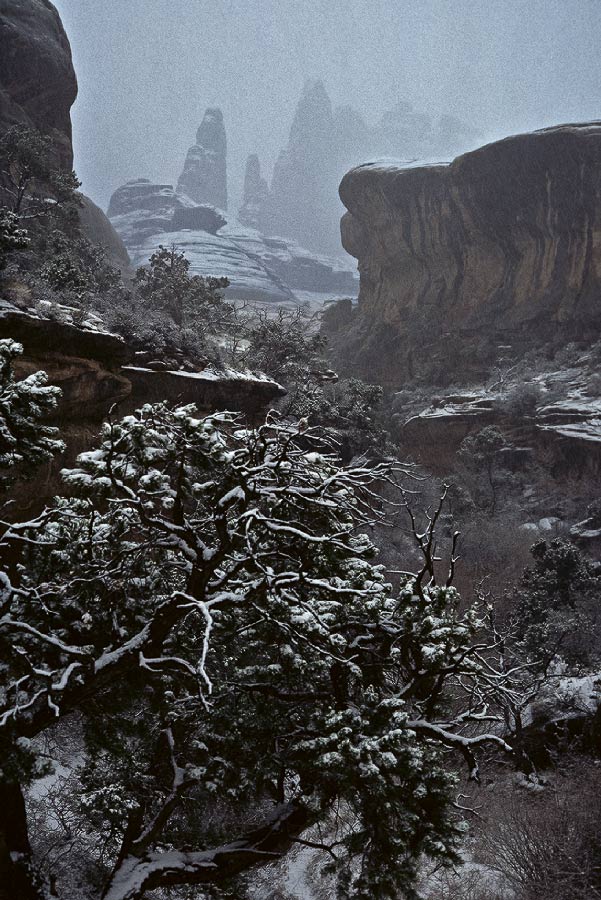 198702306 ©Tim Medley - The Needles, Canyonlands National Park, UT