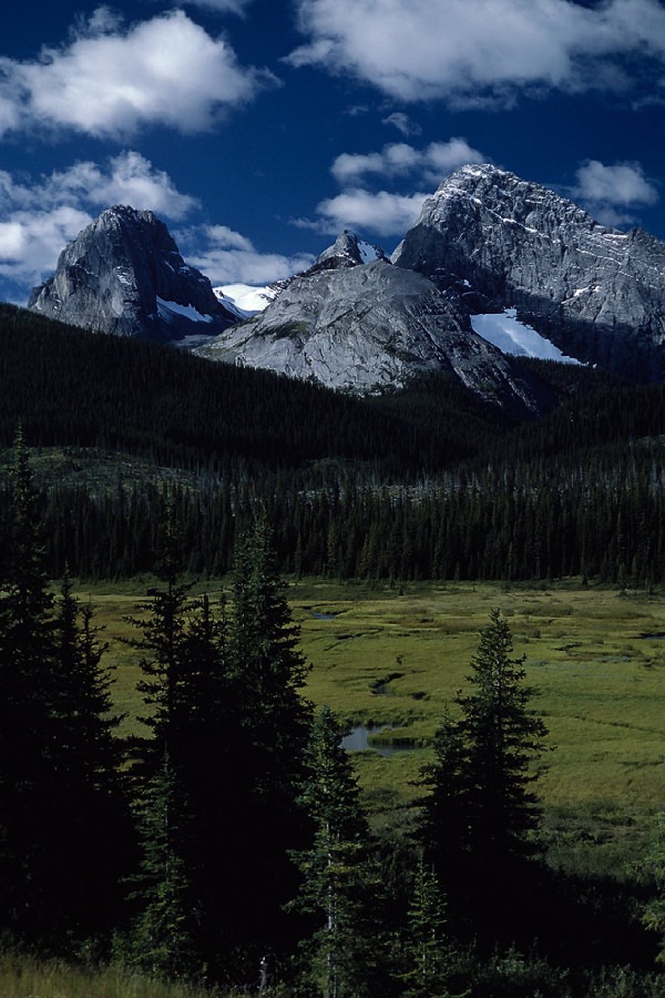 198707628 ©Tim Medley - Commonwealth Peak, Sharks Tooth, Mount Birdwood, Peter Lougheed Provincial Park, AB