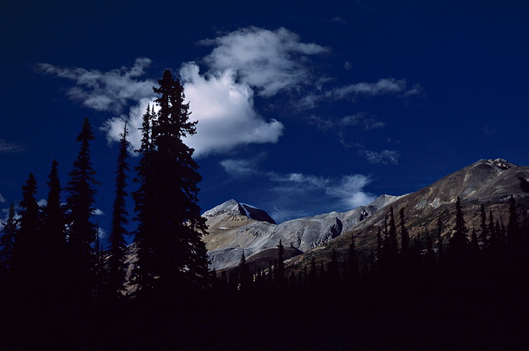 198708310 ©Tim Medley - Bow Summit, Banff National Park, AB