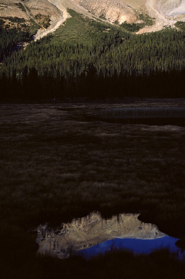 198708311 ©Tim Medley - Bow Summit, Banff National Park, AB