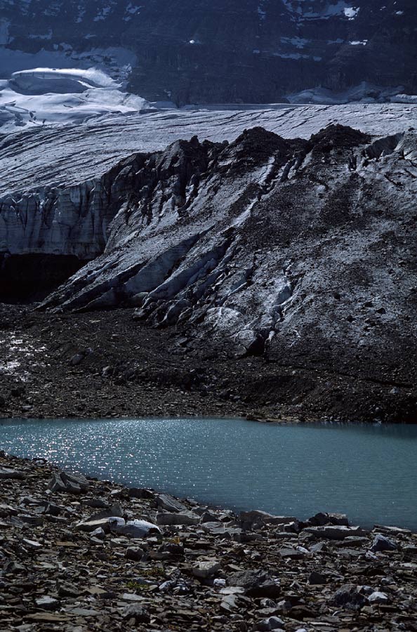 198708933 ©Tim Medley - Iceline Trail, Yoho National Park, BC