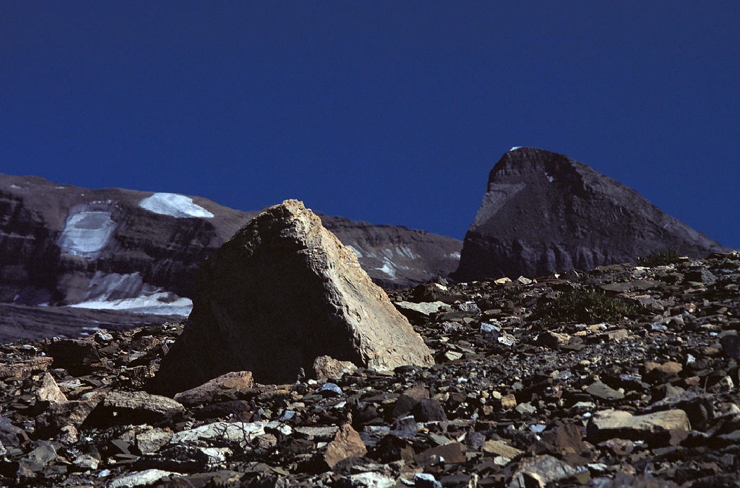 198708937 ©Tim Medley - Mount Niles, Iceline Trail, Yoho National Park, BC