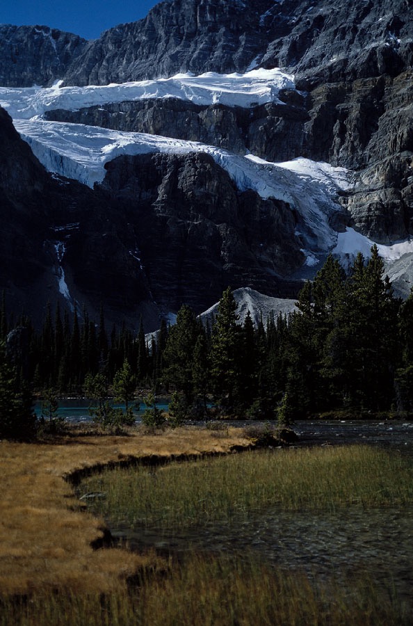 198709335 ©Tim Medley - Crowfoot Glacier, Banff National Park, AB