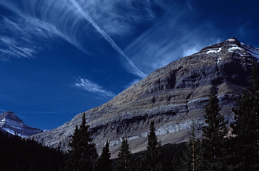 198709907 ©Tim Medley - Brazeau River Trail, Jasper National Park, AB