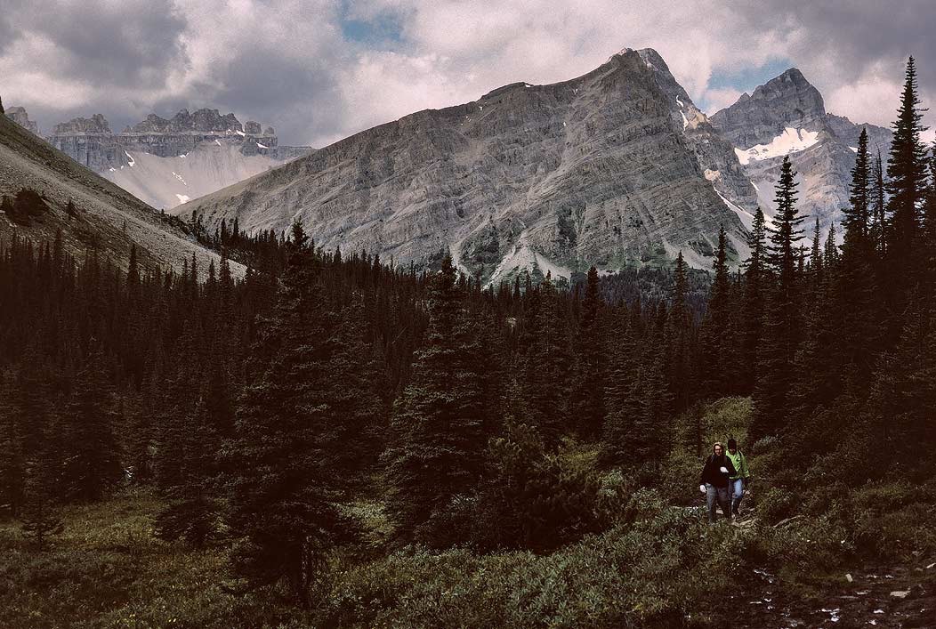 199100107 ©Tim Medley - Dolomite Peak, Mosquito Creek, Banff National Park, AB