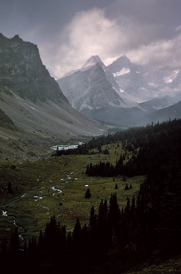 199100114 ©Tim Medley - Mosquito Creek, Banff National Park, AB