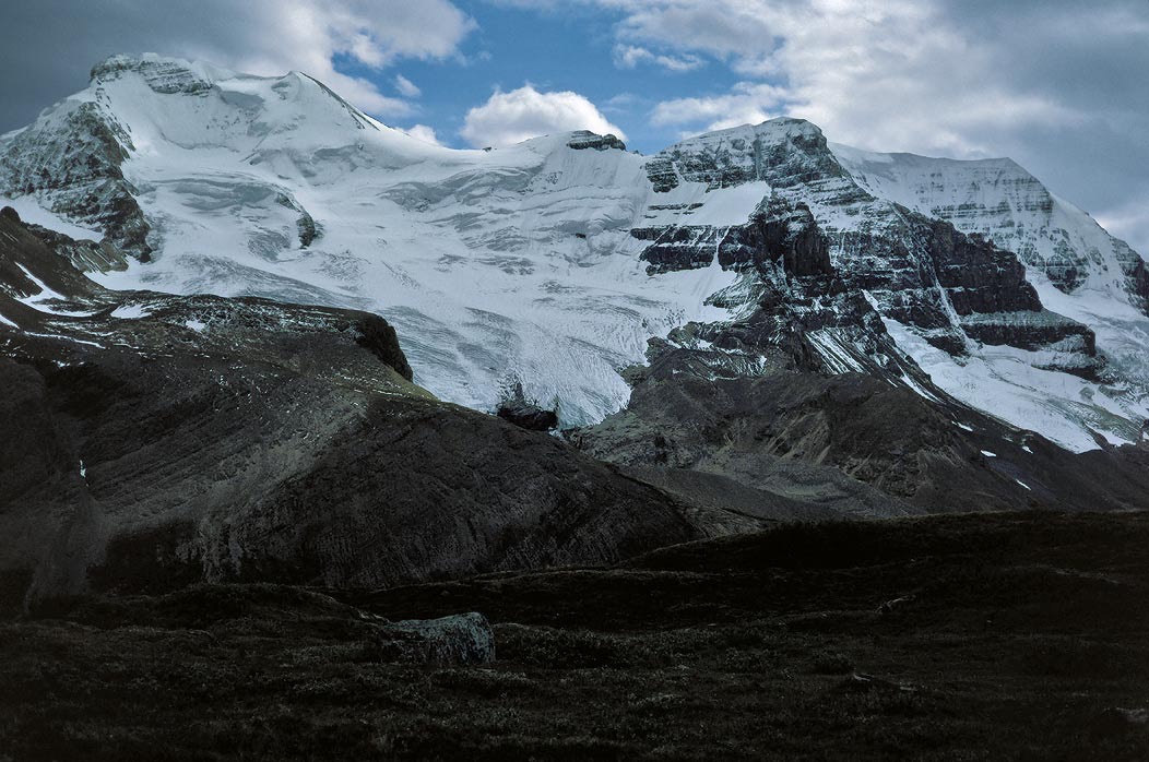 199100213 ©Tim Medley - Mt. Athabaska, Wilcox Pass Trail, Jasper National Park, AB