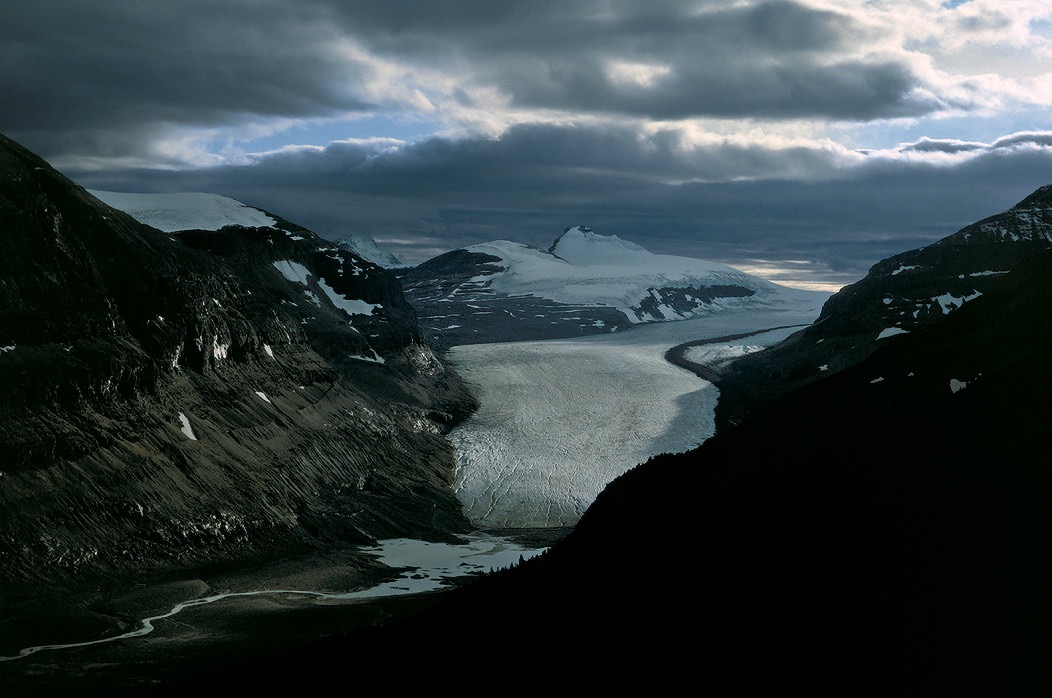 199100223 ©Tim Medley - Saskatchewan Glacier, Parker Ridge, Banff National Park, AB