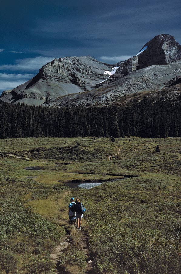 199100231 ©Tim Medley - Norman Creek, Sunset Pass Trail, Banff National Park, AB