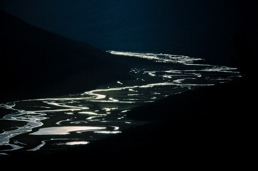 199100320 ©Tim Medley - Saskatchewan River, Banff National Park, AB