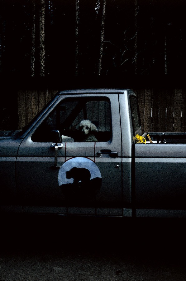 199100325 ©Tim Medley - On Duty, Banff National Park, AB