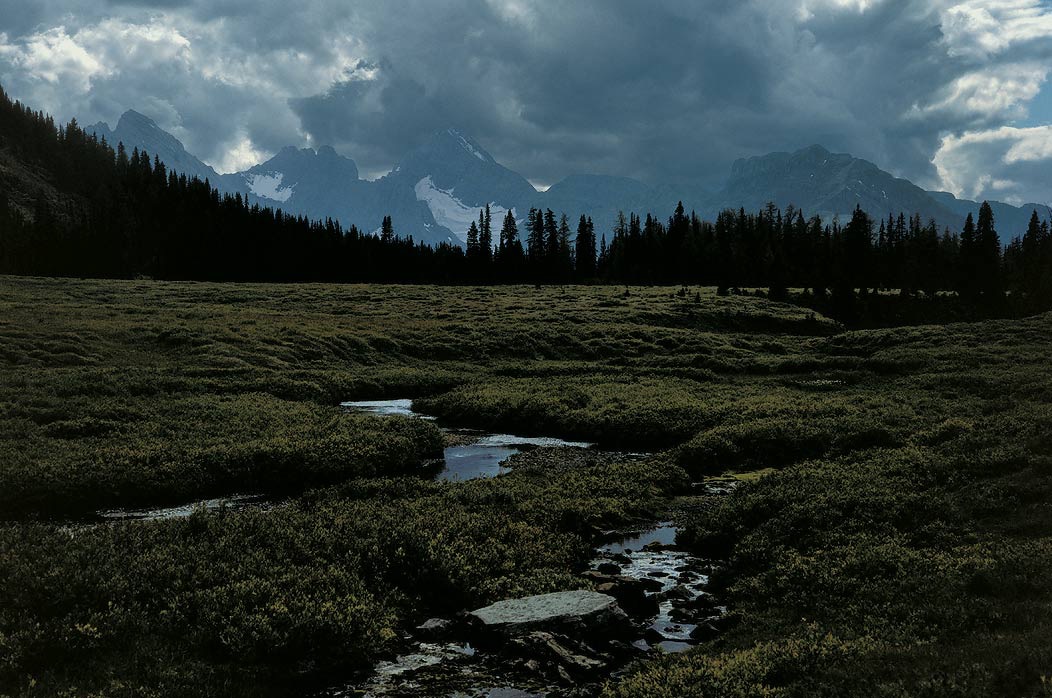 199100330 ©Tim Medley - Chester Creek, Peter Lougheed Provinical Park, AB