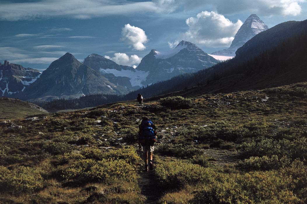 199100522 ©Tim Medley - Naiset Point, Mt. Magog, Mt. Assiniboine, Mt. Assiniboine Provincial Park, BC