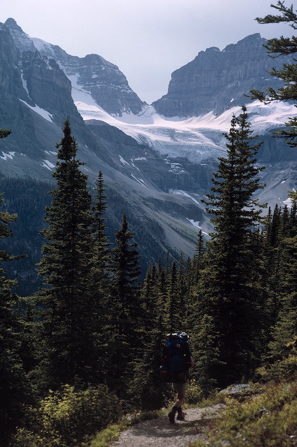 199100628 ©Tim Medley - Eon and Aye Mountains, Wonder Pass Trail, Banff National Park, AB