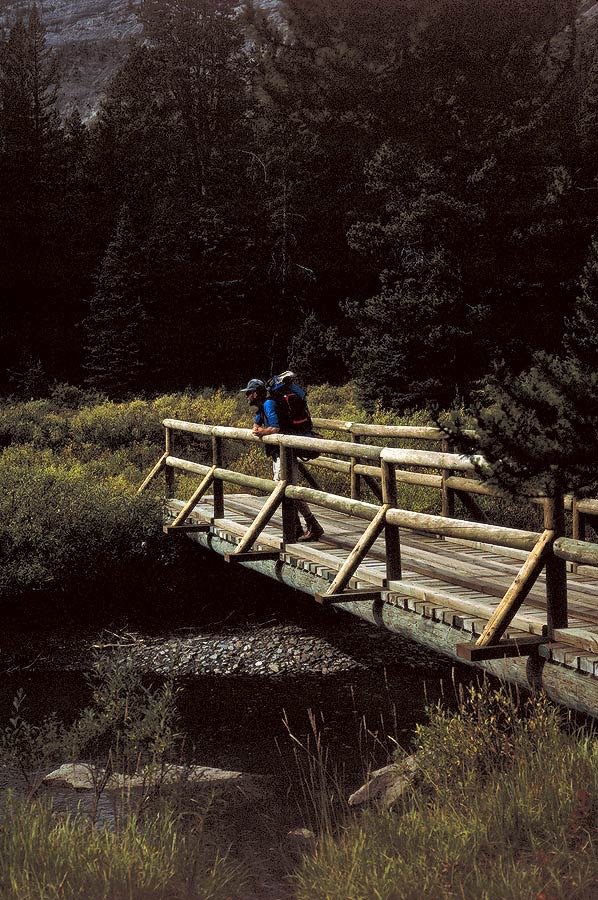 199100708 ©Tim Medley - Bryant Creek, Banff National Park, AB