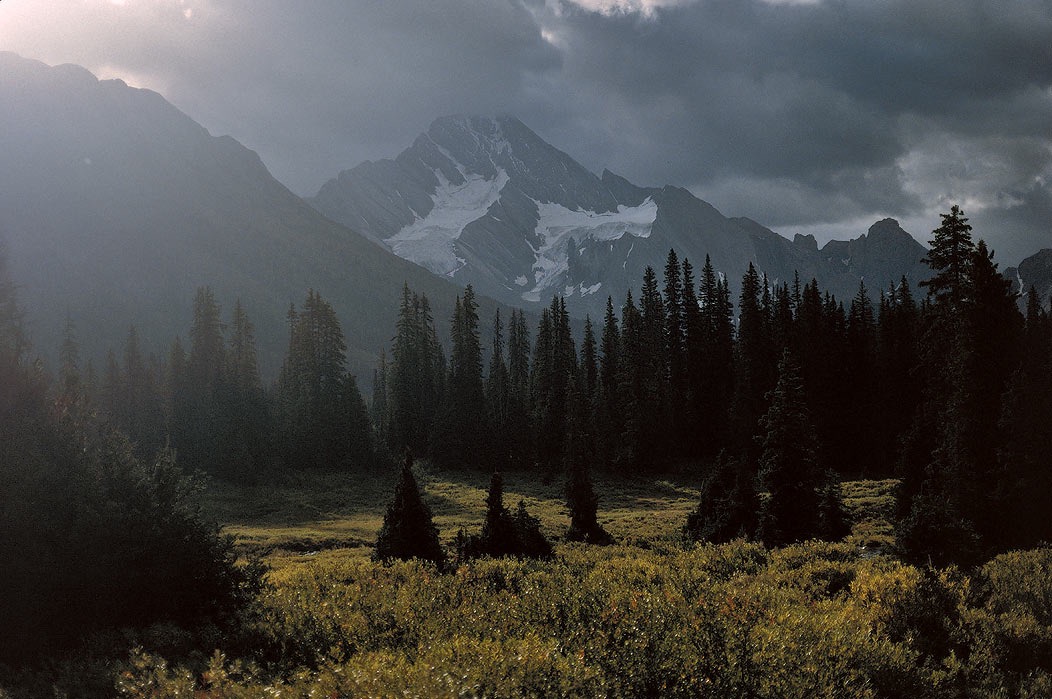 199100816 ©Tim Medley - Spray River, Mt. Sir Douglas, Banff National Park, AB