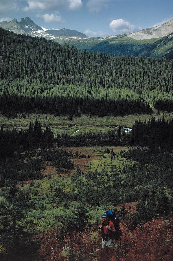 199100830 ©Tim Medley - Spray River, Burstall Pass Trail, Banff National Park, AB