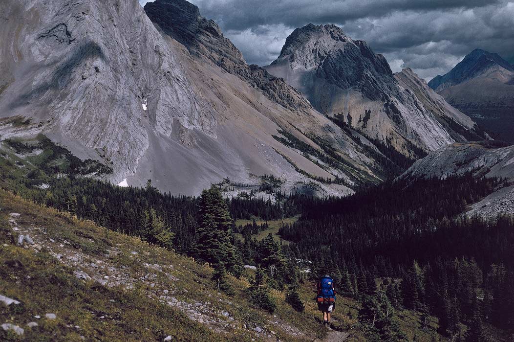 199100930 ©Tim Medley - Burstall Creek, Burstall Pass Trail, Peter Lougheed Provinical Park, AB