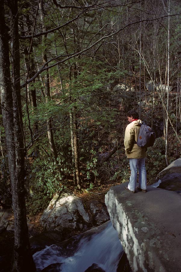 198612W5A08, ©Tim Medley - Alum Cave TR, Great Smoky Mountains, NP, TN