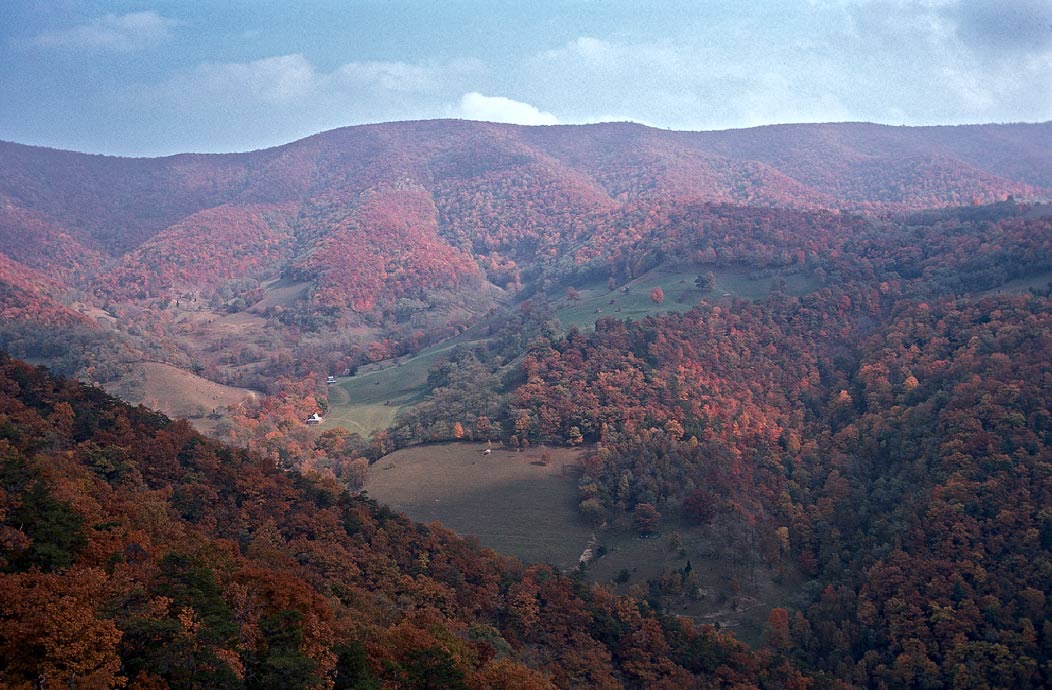 197403012 ©Tim Medley - North Fork Mountain, Monongahela National Forest, WV