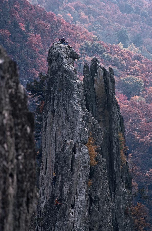 197403014 ©Tim Medley - Seneca Rocks, Spruce Knob - Seneca Rocks Recreation Area, Monongahela NF, WV