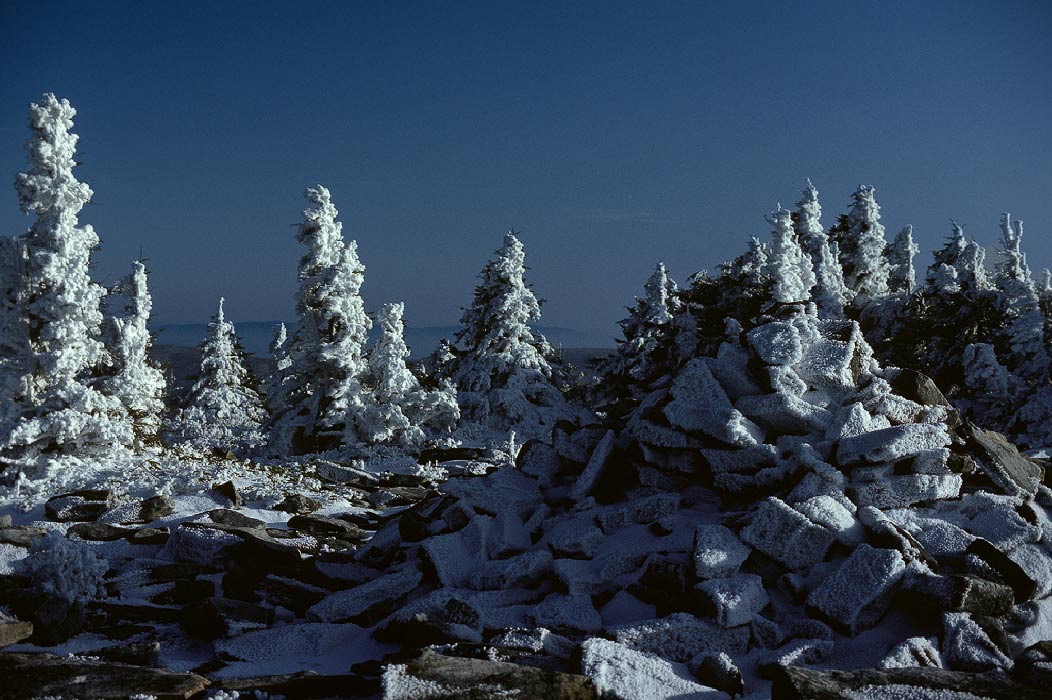 198302W205 ©Tim Medley - Spruce Knob, Spruce Knob - Seneca Rocks Recreation Area, Monongahela National Forest, WV