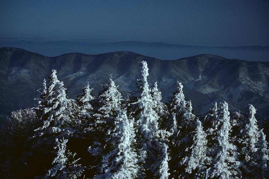 198302W212 ©Tim Medley - Spruce Knob, Spruce Knob - Seneca Rocks Recreation Area, Monongahela National Forest, WV