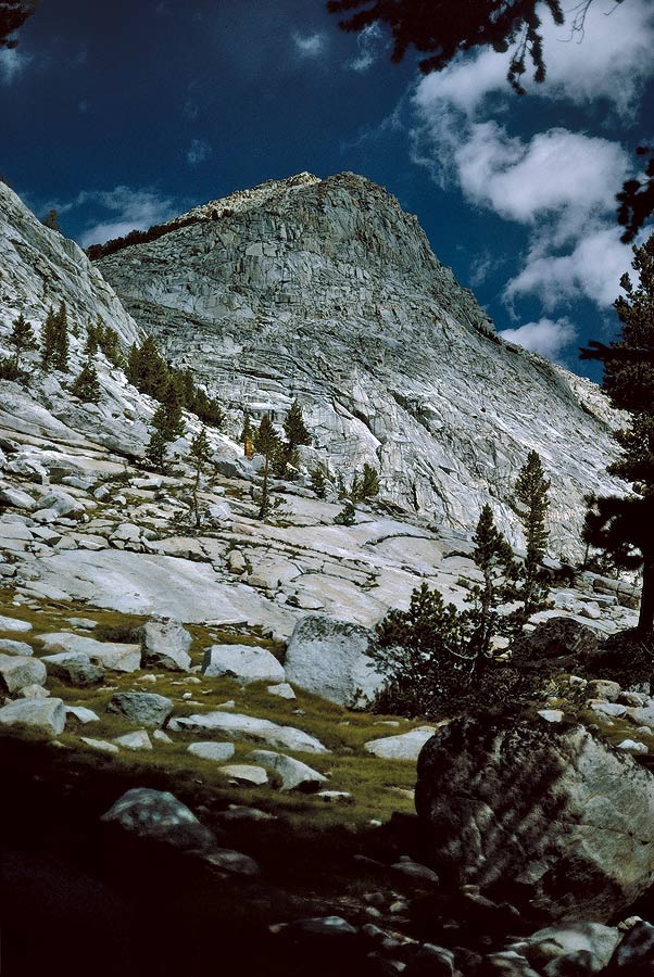 199200514 ©Tim Medley - Milestone Creek, Sequoia NP, CA