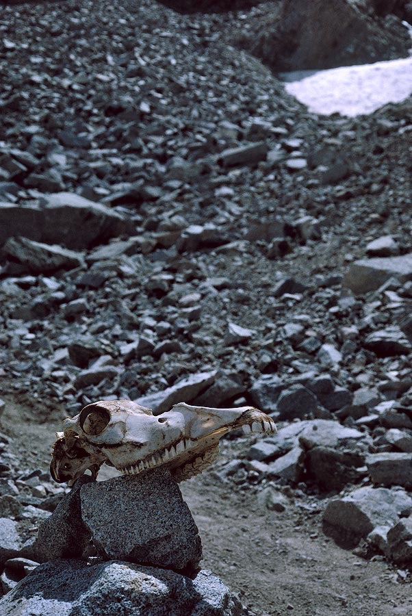 199200634 ©Tim Medley - Shepherd Pass Trail, John Muir Wilderness, CA