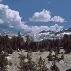 1993CA0307.jpg