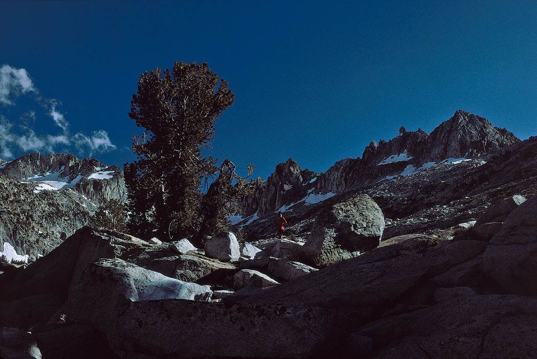 1993CA0318 ©Tim Medley - Mt. Izaak Walton, John Muir Wilderness, CA