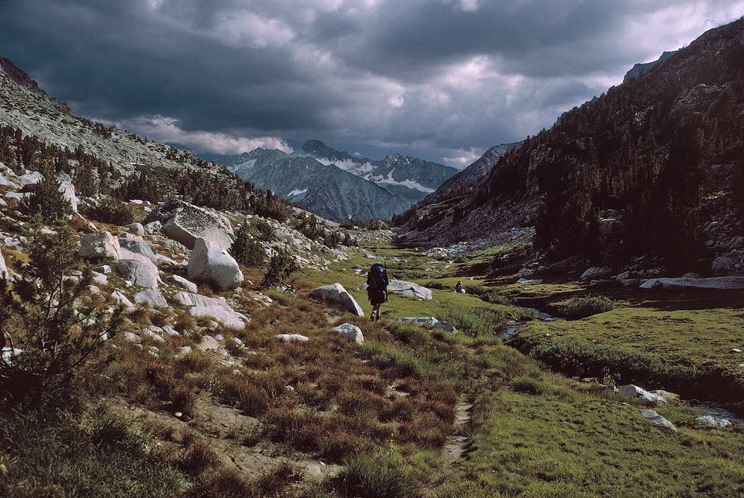 1993CA0411 ©Tim Medley - Laurel Creek, John Muir Wilderness, CA