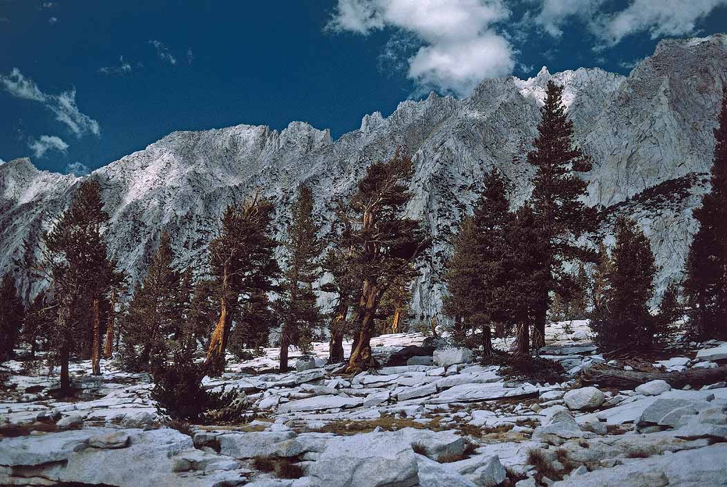 1993CA0421 ©Tim Medley - Mills Creek, John Muir Wilderness, CA