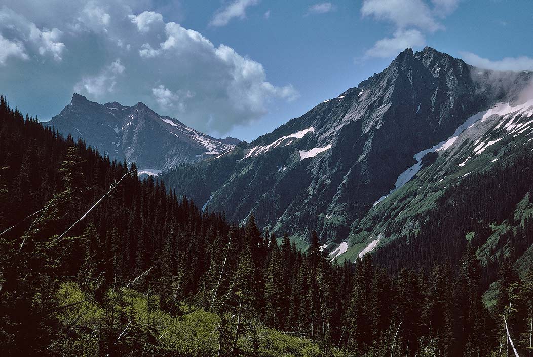 1993WA0119 &copy;Tim Medley - Buck Creek TR, Buck MTN, MT Cleator, Glacier Peak WA, WA