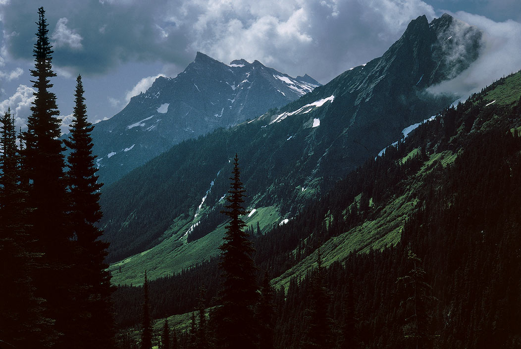 1993WA0134 &copy;Tim Medley - Buck Creek TR, Buck MTN, MT Cleator, Glacier Peak WA, WA
