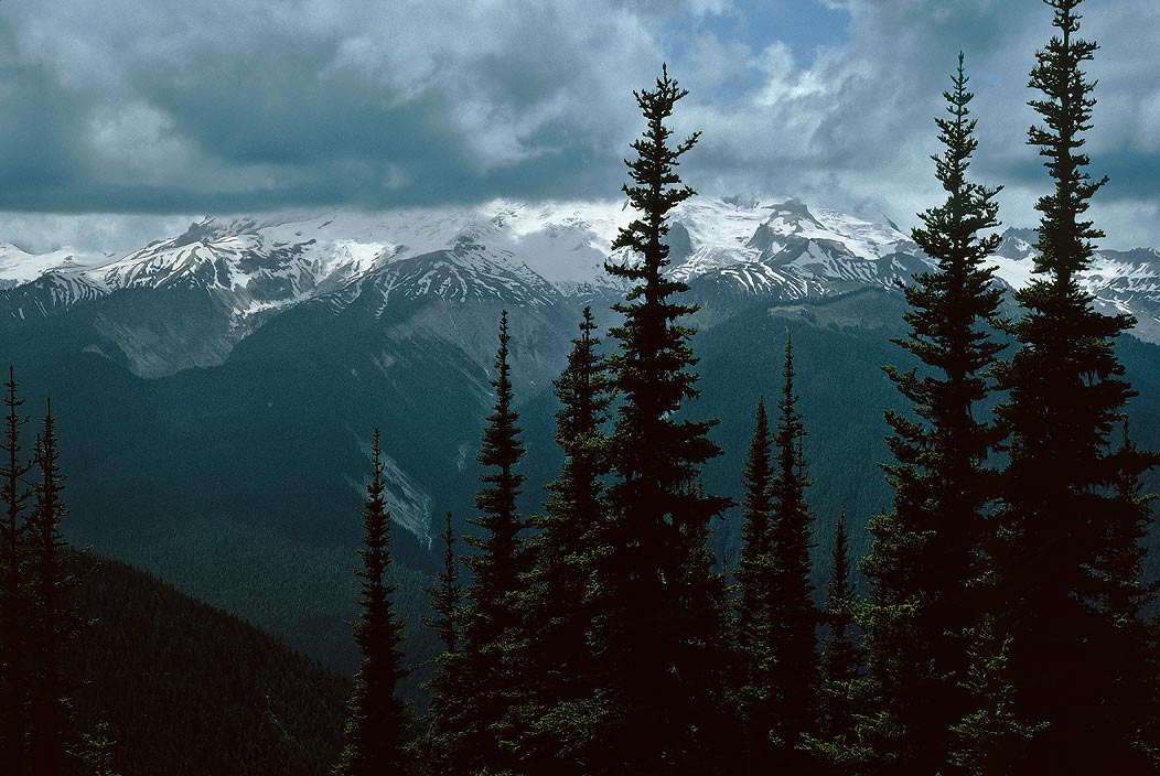 1993WA0208 &copy;Tim Medley - Buck Creek Pass TR, Suiattle R, Glacier PK, Glacier Peak WA, WA