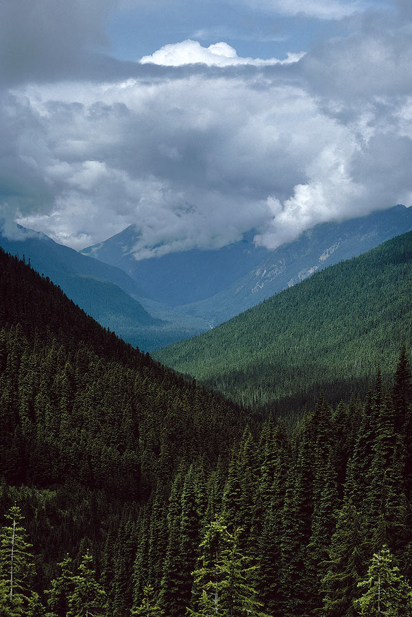 1993WA0529 &copy;Tim Medley - Buck Creek Pass, Glacier Peak Wilderness, WA