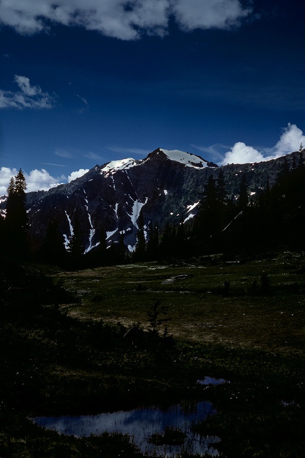 198706134 ©Tim Medley - Dodger Point, Olympic National Park, WA