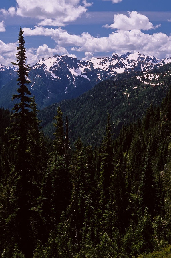 198706201 198706134 ©Tim Medley - Dodger Point to Snagtooth Col, Olympic National Park, WA